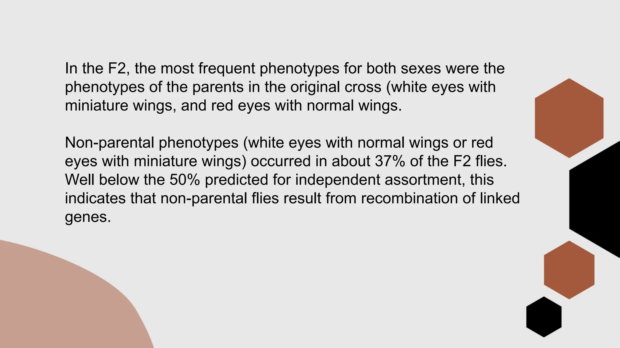 In the F2, the most frequent phenotypes for both sexes were the
phenotypes of the parents in the original cross (white eyes with
miniature wings, and red eyes with normal wings.
Non-parental phenotypes (white eyes with normal wings or red
eyes with miniature wings) occurred in about 37% of the F2 flies.
Well below the 50% predicted for independent assortment, this
indicates that non-parental flies result from recombination of linked
genes.
 