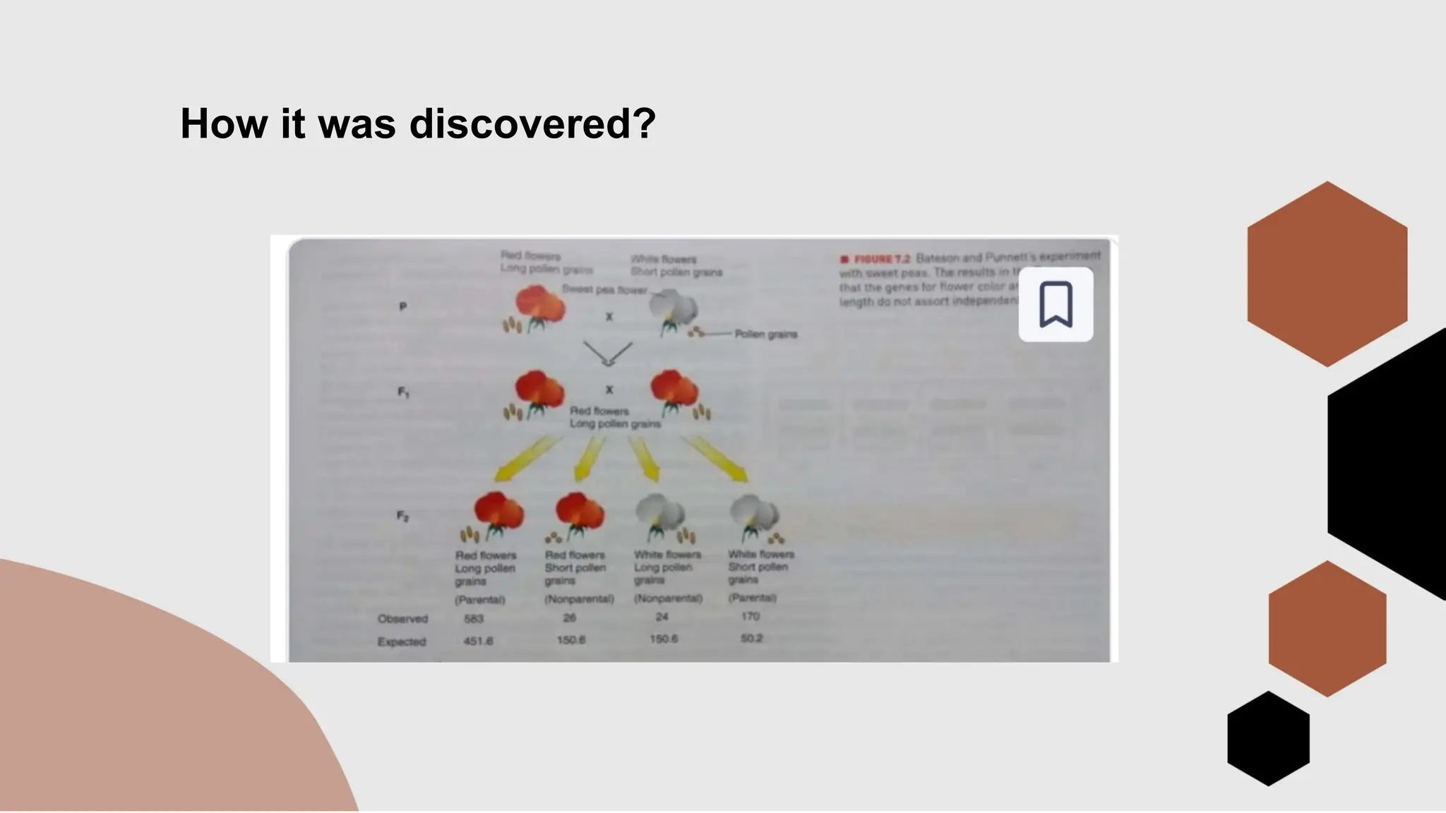 How it was discovered?
 