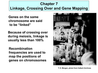 Linkage crossing over and its genetics characteristics of crossing over ...