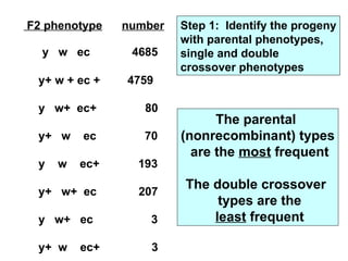 Linkage crossing over and its genetics characteristics of crossing over ...