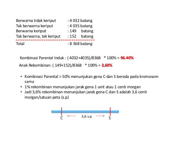 Linkage Dan Dan Crossing Over
