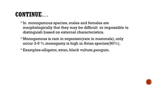 CONTINUE…
 In monogamous species, males and females are
morphologically that they may be difficult or impossible to
distinguish based on external characteristics.
 Monogamous is rare in organism(rare in mammals), only
occur 3-9 %.monogamy is high in Avian species(90%).
 Examples-alligator, swan, black vulture,penguin.
 