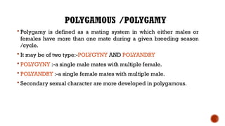 POLYGAMOUS /POLYGAMY
 Polygamy is defined as a mating system in which either males or
females have more than one mate during a given breeding season
/cycle.
 It may be of two type:-POLYGYNY AND POLYANDRY
 POLYGYNY :-a single male mates with multiple female.
 POLYANDRY :-a single female mates with multiple male.
 Secondary sexual character are more developed in polygamous.
 