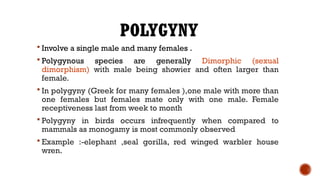 POLYGYNY
 Involve a single male and many females .
 Polygynous species are generally Dimorphic (sexual
dimorphism) with male being showier and often larger than
female.
 In polygyny (Greek for many females ),one male with more than
one females but females mate only with one male. Female
receptiveness last from week to month
 Polygyny in birds occurs infrequently when compared to
mammals as monogamy is most commonly observed
 Example :-elephant ,seal gorilla, red winged warbler house
wren.
 