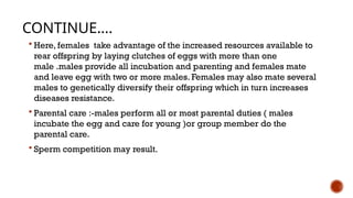CONTINUE….
 Here, females take advantage of the increased resources available to
rear offspring by laying clutches of eggs with more than one
male .males provide all incubation and parenting and females mate
and leave egg with two or more males. Females may also mate several
males to genetically diversify their offspring which in turn increases
diseases resistance.
 Parental care :-males perform all or most parental duties ( males
incubate the egg and care for young )or group member do the
parental care.
 Sperm competition may result.
 