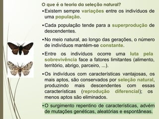 O que é a teoria da seleção natural?
▪Existem sempre variações entre os indivíduos de
uma população.
▪Cada população tende para a superprodução de
descendentes.
▪No meio natural, ao longo das gerações, o número
de indivíduos mantém-se constante.
▪Entre os indivíduos ocorre uma luta pela
sobrevivência face a fatores limitantes (alimento,
território, abrigo, parceiro, ...).
▪Os indivíduos com características vantajosas, os
mais aptos, são conservados por seleção natural,
produzindo mais descendentes com essas
características (reprodução diferencial); os
menos aptos são eliminados.
▪O surgimento repentino de características, advém
de mutações genéticas, aleatórias e espontâneas.
 