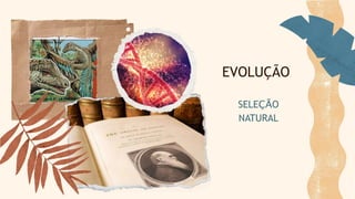 EVOLUÇÃO
SELEÇÃO
NATURAL
 