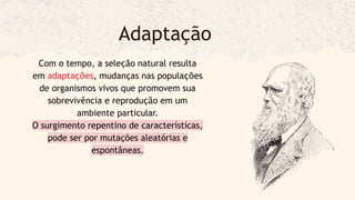 Com o tempo, a seleção natural resulta
em adaptações, mudanças nas populações
de organismos vivos que promovem sua
sobrevivência e reprodução em um
ambiente particular.
O surgimento repentino de características,
pode ser por mutações aleatórias e
espontâneas.
Adaptação
 