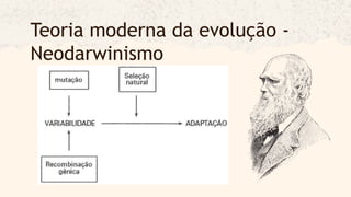 Teoria moderna da evolução -
Neodarwinismo
 