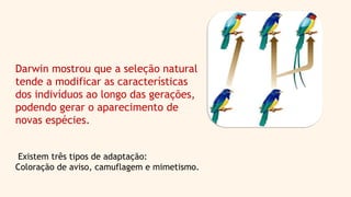 Darwin mostrou que a seleção natural
tende a modificar as características
dos indivíduos ao longo das gerações,
podendo gerar o aparecimento de
novas espécies.
Existem três tipos de adaptação:
Coloração de aviso, camuflagem e mimetismo.
 