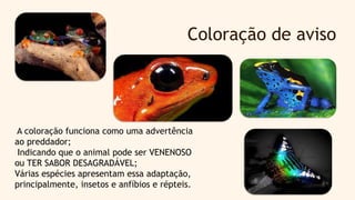 Coloração de aviso
A coloração funciona como uma advertência
ao preddador;
Indicando que o animal pode ser VENENOSO
ou TER SABOR DESAGRADÁVEL;
Várias espécies apresentam essa adaptação,
principalmente, insetos e anfíbios e répteis.
 