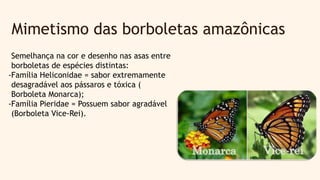 Mimetismo das borboletas amazônicas
Semelhança na cor e desenho nas asas entre
borboletas de espécies distintas:
-Família Heliconidae = sabor extremamente
desagradável aos pássaros e tóxica (
Borboleta Monarca);
-Família Pieridae = Possuem sabor agradável
(Borboleta Vice-Rei).
 