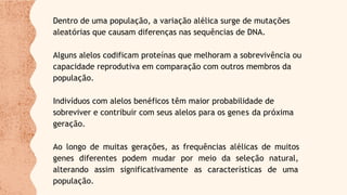 Dentro de uma população, a variação alélica surge de mutações
aleatórias que causam diferenças nas sequências de DNA.
Alguns alelos codificam proteínas que melhoram a sobrevivência ou
capacidade reprodutiva em comparação com outros membros da
população.
Indivíduos com alelos benéficos têm maior probabilidade de
sobreviver e contribuir com seus alelos para os genes da próxima
geração.
Ao longo de muitas gerações, as frequências alélicas de muitos
genes diferentes podem mudar por meio da seleção natural,
alterando assim significativamente as características de uma
população.
 