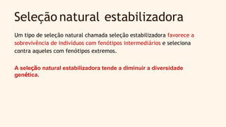 Um tipo de seleção natural chamada seleção estabilizadora favorece a
sobrevivência de indivíduos com fenótipos intermediários e seleciona
contra aqueles com fenótipos extremos.
A seleção natural estabilizadora tende a diminuir a diversidade
genética.
Seleção natural estabilizadora
 