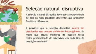 A seleção natural disruptiva favorece a sobrevivência
de dois ou mais genótipos diferentes que produzem
fenótipos diferentes.
É provável que a seleção disruptiva ocorra em
populações que ocupam ambientes heterogêneos, de
modo que alguns membros da espécie terão
maior probabilidade de sobreviver em cada tipo de
condição ambiental
Seleção natural disruptiva
 