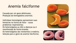 Anemia falciforme
Causada por um gene defeituoso;
Produção da hemoglobina anormal;
Individuos homozigotos apresentam suas
hemácias na forma de foice – causa
problemas respiratórios;
Os heterozigotos ou têm a doenças ou é
manifestada de forma branda;
Os heterozigotos são resistentes à malária;
Seleção para o gene da anemia falciforme.
 