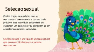 Certos traços de espécies que se
reproduzem sexualmente e tornam mais
provável que indivíduos encontrem ou
escolham um parceiro e/ou envolvam-se em
acasalamentos bem- sucedidos.
Seleção sexual é um tipo de seleção natural
que promove diretamente o sucesso
reprodutivo
Selecao sexual
 