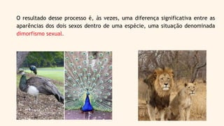 O resultado desse processo é, às vezes, uma diferença significativa entre as
aparências dos dois sexos dentro de uma espécie, uma situação denominada
dimorfismo sexual.
 