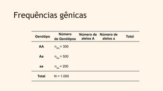 Frequências gênicas
Genótipo
Número
de Genótipos
Número de
alelos A
Número de
alelos a
Total
AA nAA
= 300
Aa nAa
= 500
aa naa
= 200
Total N = 1.000
 