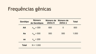 Frequências gênicas
Genótipo
Número
de Genótipos
Número de
alelos A
Número de
alelos a
Total
AA nAA
= 300 600 0 600
Aa nAa
= 500 500 500 1.000
aa naa
= 200
Total N = 1.000
 