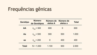 Frequências gênicas
Genótipo
Número
de Genótipos
Número de
alelos A
Número de
alelos a
Total
AA nAA
= 300 600 0 600
Aa nAa
= 500 500 500 1.000
aa naa
= 200 0 400 400
Total N = 1.000 1.100 900 2.000
 