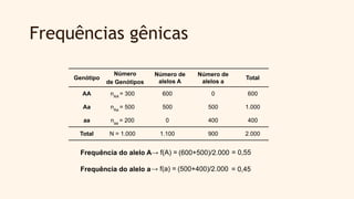 Frequências gênicas
Genótipo
Número
de Genótipos
Número de
alelos A
Número de
alelos a
Total
AA nAA
= 300 600 0 600
Aa nAa
= 500 500 500 1.000
aa naa
= 200 0 400 400
Total N = 1.000 1.100 900 2.000
Frequência do alelo A→ f(A) = (600+500)/2.000 = 0,55
Frequência do alelo a→ f(a) = (500+400)/2.000 = 0,45
 