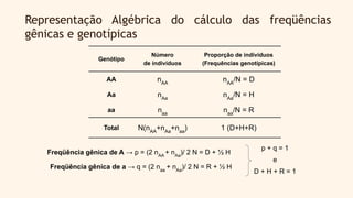 Representação Algébrica do cálculo das freqüências
gênicas e genotípicas
Genótipo
Número
de indivíduos
Proporção de indivíduos
(Frequências genotípicas)
AA nAA
nAA
/N = D
Aa nAa
nAa
/N = H
aa naa
naa
/N = R
Total N(nAA
+nAa
+naa
) 1 (D+H+R)
Freqüência gênica de A → p = (2 nAA
+ nAa
)/ 2 N = D + ½ H
Freqüência gênica de a → q = (2 naa
+ nAa
)/ 2 N = R + ½ H
p + q = 1
e
D + H + R = 1
 