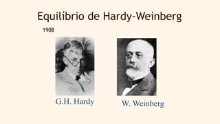 Equilíbrio de Hardy-Weinberg
1908
G.H. Hardy W. Weinberg
 