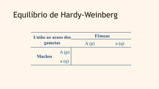 Equilíbrio de Hardy-Weinberg
União ao acaso dos
gametas
Fêmeas
A (p) a (q)
Machos
A (p)
a (q)
 