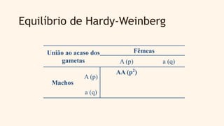 Equilíbrio de Hardy-Weinberg
União ao acaso dos
gametas
Fêmeas
A (p) a (q)
Machos
A (p)
AA (p2
)
a (q)
 
