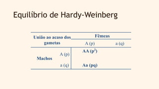 Equilíbrio de Hardy-Weinberg
União ao acaso dos
gametas
Fêmeas
A (p) a (q)
Machos
A (p)
AA (p2
)
a (q) Aa (pq)
 