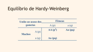 Equilíbrio de Hardy-Weinberg
União ao acaso dos
gametas
Fêmeas
A (p) a (q)
Machos
A (p)
AA (p2
) Aa (pq)
a (q) Aa (pq)
 