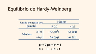 Equilíbrio de Hardy-Weinberg
União ao acaso dos
gametas
Fêmeas
A (p) a (q)
Machos
A (p) AA (p2
) Aa (pq)
a (q) Aa (pq) aa (q2
)
p² + 2 pq + q² = 1
D + H + R = 1
 