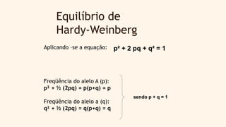 Equilíbrio de
Hardy-Weinberg
Aplicando –se a equação:
Freqüência do alelo A (p):
p² + ½ (2pq) = p(p+q) = p
Freqüência do alelo a (q):
q² + ½ (2pq) = q(p+q) = q
p² + 2 pq + q² = 1
sendo p + q = 1
 