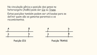 ► Na vinculação gênica a posição dos genes no
heterozigoto (AaBb) pode ser Cis ou Trans.
► Estas posições também podem ser utilizadas para se
definir quem são os gametas parentais e os
recombinantes.
A B
a b
Posição CIS
A b
a B
Posição TRANS
 