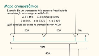 Mapa cromossômico
► Exemplo: Em um cromossomo há a seguinte frequência de
recombinação entre os genes A,B,C e D:
A-B 🡺 45% A-C 🡺 20%C-B 🡺 25%
B-D 🡺 5% C-D 🡺 20% A-D 🡺 40%
Qual a posição dos genes no cromossomo? R= ACDB
A C D B
45M
40M
20M 20M 5M
 