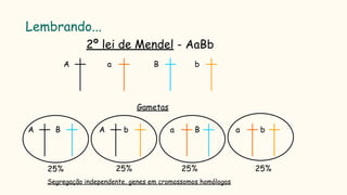 Lembrando...
2º lei de Mendel - AaBb
A a B b
Gametas
A B A b a B a b
25% 25% 25% 25%
Segregação independente, genes em cromossomos homólogos
 