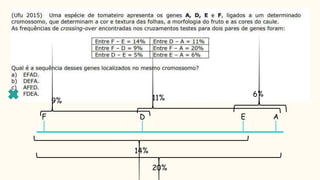 F D E A
20%
14%
6%
11%
9%
 