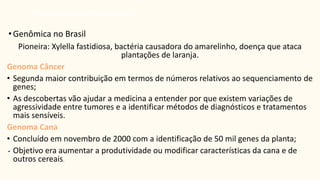 Pioneira: Xylella fastidiosa, bactéria causadora do amarelinho, doença que ataca
plantações de laranja.
Genoma Câncer
• Segunda maior contribuição em termos de números relativos ao sequenciamento de
genes;
• As descobertas vão ajudar a medicina a entender por que existem variações de
agressividade entre tumores e a identificar métodos de diagnósticos e tratamentos
mais sensíveis.
Genoma Cana
• Concluído em novembro de 2000 com a identificação de 50 mil genes da planta;
• Objetivo era aumentar a produtividade ou modificar características da cana e de
outros cereais.
•Projeto genoma humano
•Genômica no Brasil
 