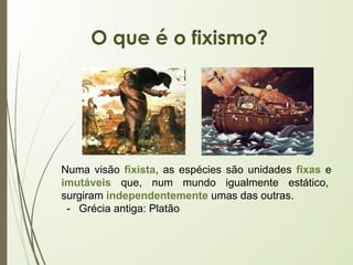 Numa visão fixista, as espécies são unidades fixas e
imutáveis que, num mundo igualmente estático,
surgiram independentemente umas das outras.
- Grécia antiga: Platão
O que é o fixismo?
 