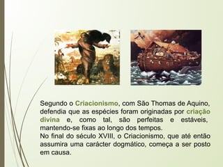 Segundo o Criacionismo, com São Thomas de Aquino,
defendia que as espécies foram originadas por criação
divina e, como tal, são perfeitas e estáveis,
mantendo-se fixas ao longo dos tempos.
No final do século XVIII, o Criacionismo, que até então
assumira uma carácter dogmático, começa a ser posto
em causa.
 