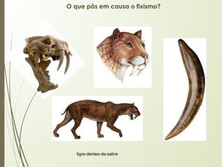 O que pôs em causa o fixismo?
tigre-dentes-de-sabre
 