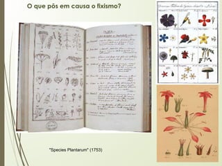 O que pôs em causa o fixismo?
"Species Plantarum" (1753)
 