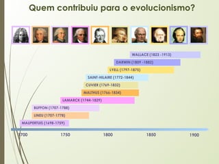 Quem contribuiu para o evolucionismo?
1700 1750 1800 1850 1900
MAUPERTUIS (1698-1759)
LINEU (1707-1778)
BUFFON (1707-1788)
LAMARCK (1744-1829)
MALTHUS (1766-1834)
CUVIER (1769-1832)
SAINT-HILAIRE (1772-1844)
LYELL (1797-1875)
DARWIN (1809 -1882)
WALLACE (1823 -1913)
 