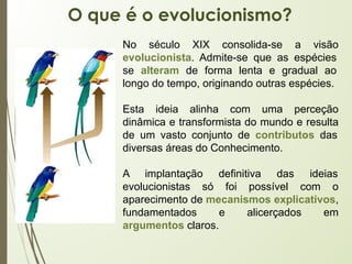 No século XIX consolida-se a visão
evolucionista. Admite-se que as espécies
se alteram de forma lenta e gradual ao
longo do tempo, originando outras espécies.
Esta ideia alinha com uma perceção
dinâmica e transformista do mundo e resulta
de um vasto conjunto de contributos das
diversas áreas do Conhecimento.
A implantação definitiva das ideias
evolucionistas só foi possível com o
aparecimento de mecanismos explicativos,
fundamentados e alicerçados em
argumentos claros.
O que é o evolucionismo?
 