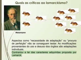 Aspectos como “necessidade de adaptação” ou “procura
de perfeição” não se conseguem testar. As modificações
provenientes do uso e desuso dos órgãos são adaptações
individuais.
Contrariou a lei das caracteres adquiridas proposta por
Lamarck.
Quais as críticas ao lamarckismo?
X
Weismann
 