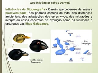 Que influências sofreu Darwin?
Influências da Biogeografia - Darwin apercebeu-se da imensa
biodiversidade, dos padrões comuns de vida, das diferenças
ambientais, das adaptações dos seres vivos, das migrações e
interpretou casos concretos de evolução como os tentilhões e
tartarugas das Ilhas Galápagos.
Tentilhões das
Galápagos
Ilhas
Galápagos
 