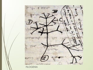 FILOGENIA
 