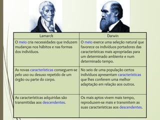 Lamarck Darwin
O meio cria necessidades que induzem
mudanças nos hábitos e nas formas
dos indivíduos.
O meio exerce uma seleção natural que
favorece os indivíduos portadores das
características mais apropriadas para
um determinado ambiente e num
determinado tempo.
As novas características conseguem-se
pelo uso ou desuso repetido de um
órgão ou parte do corpo.
No seio de uma população certos
indivíduos apresentam características
que lhes conferem uma melhor
adaptação em relação aos outros.
As características adquiridas são
transmitidas aos descendentes.
Os mais aptos vivem mais tempo,
reproduzem-se mais e transmitem as
suas características aos descendentes.
 