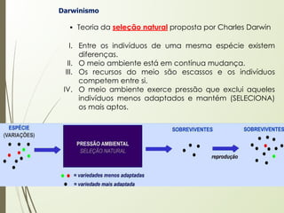 Darwinismo
▪ Teoria da seleção natural proposta por Charles Darwin
I. Entre os indivíduos de uma mesma espécie existem
diferenças.
II. O meio ambiente está em contínua mudança.
III. Os recursos do meio são escassos e os indivíduos
competem entre si.
IV. O meio ambiente exerce pressão que exclui aqueles
indivíduos menos adaptados e mantém (SELECIONA)
os mais aptos.
 